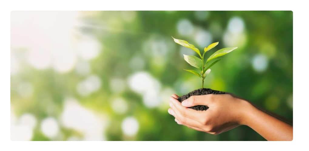 How To Make Your Menstrual Cycle More Sustainable...