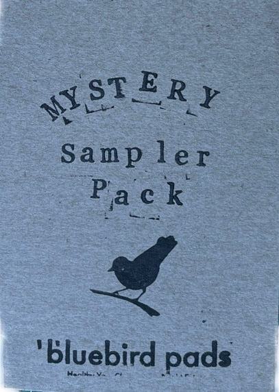 Period Pads Mystery 3 Pack